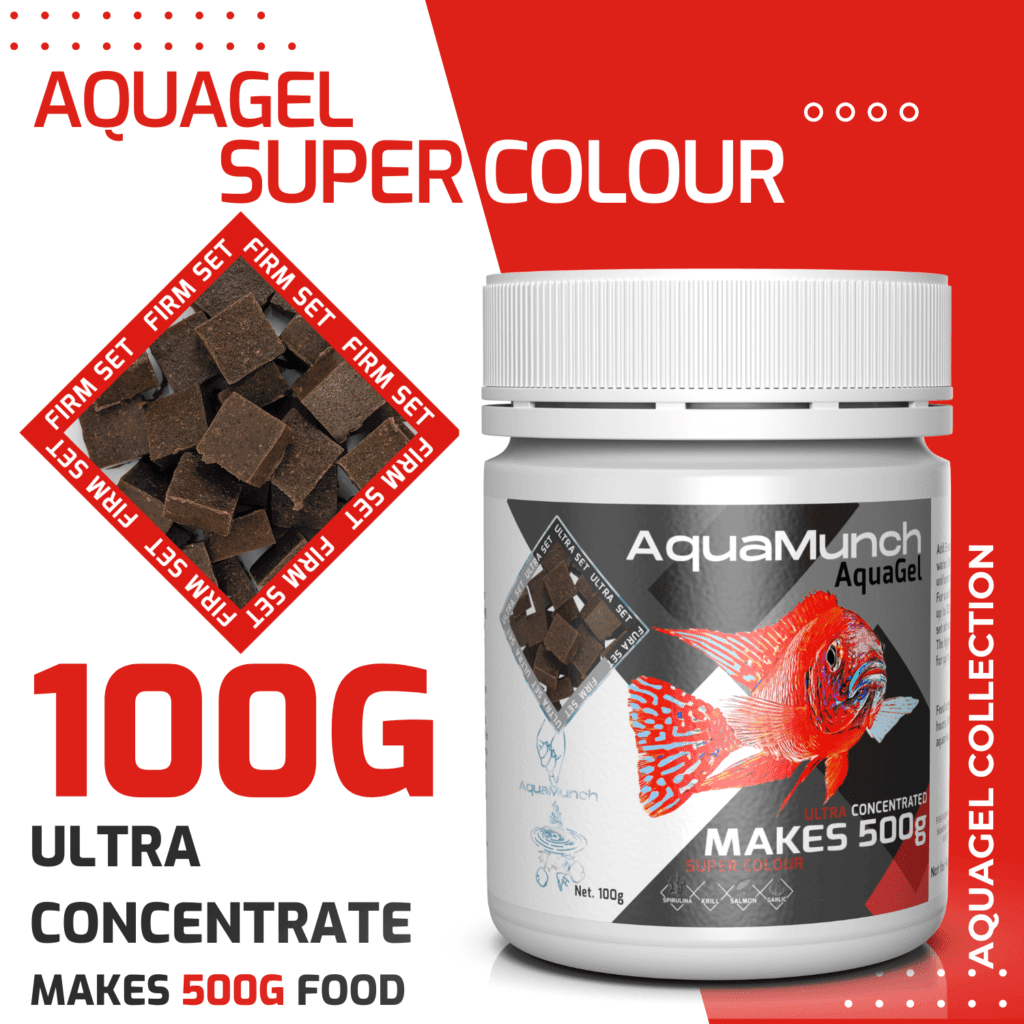 AquaMunch AquaGel Super Colour 100g "Makes 500g"