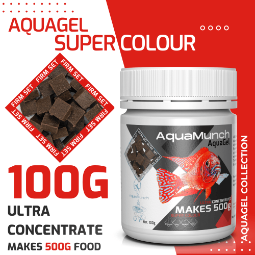 AquaGel Super Colour 100g