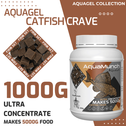 AquaGel Catfish Crave 1000g Aquarium Fish Food