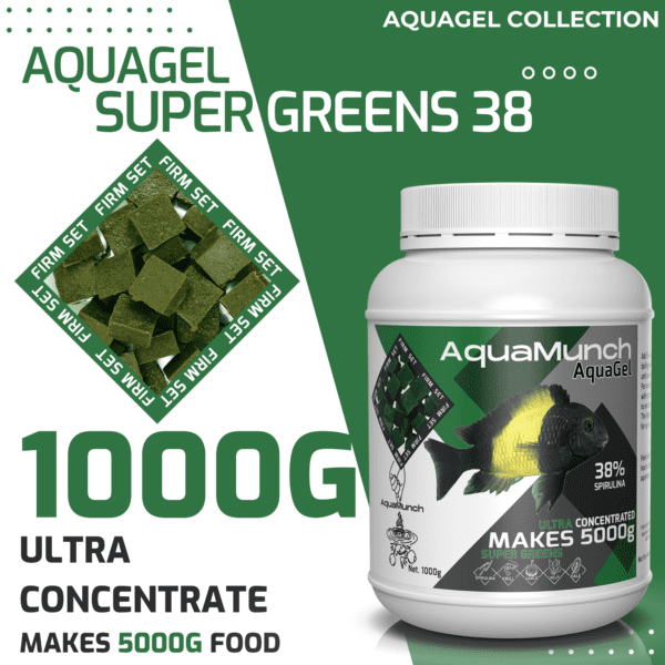 AquaGel Super Greens 38 1000g Aquarium Fish Food
