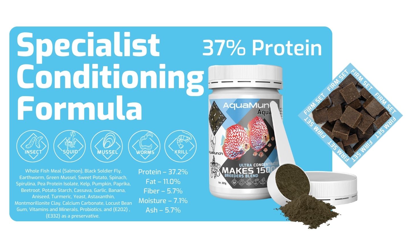 AquaMunch AquaGel Breeders Blend Aquarium Fish Food Ingredients